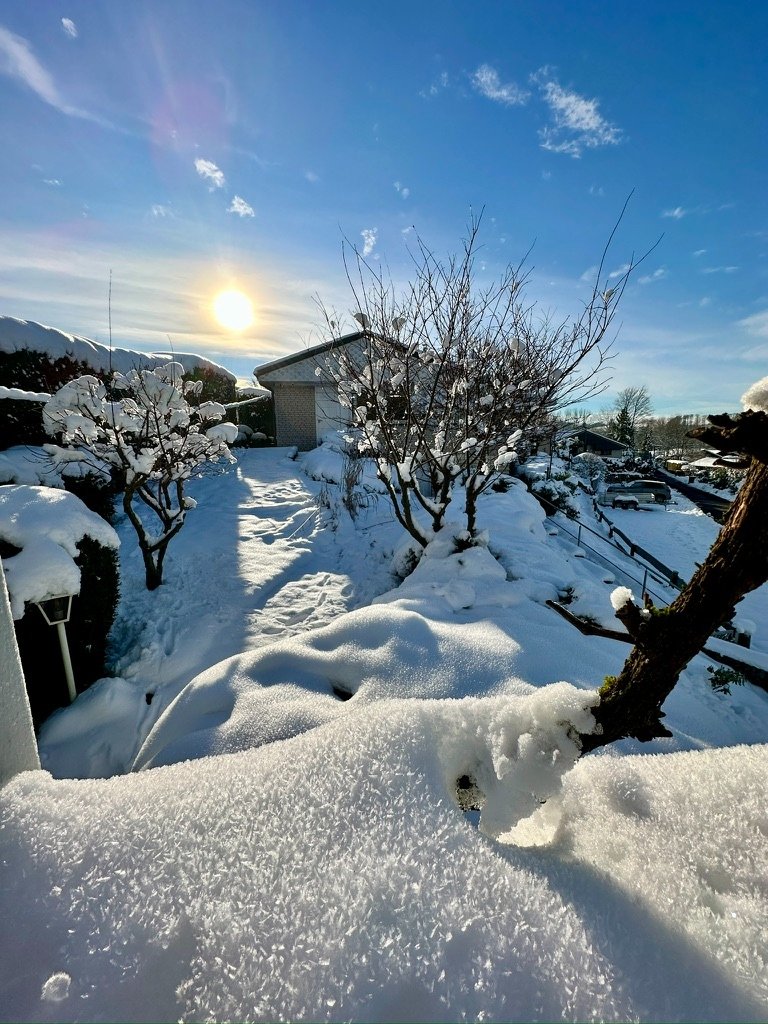 Verschneiter Garten im Winter