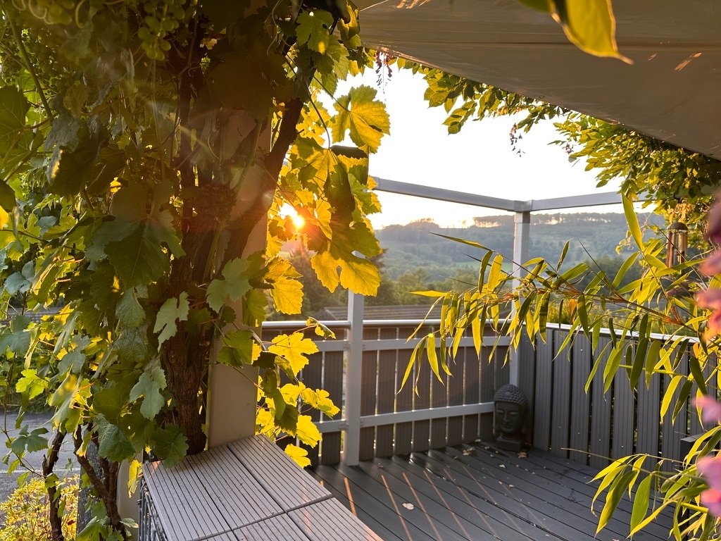 Begrünte Pergola im Herbstlicht