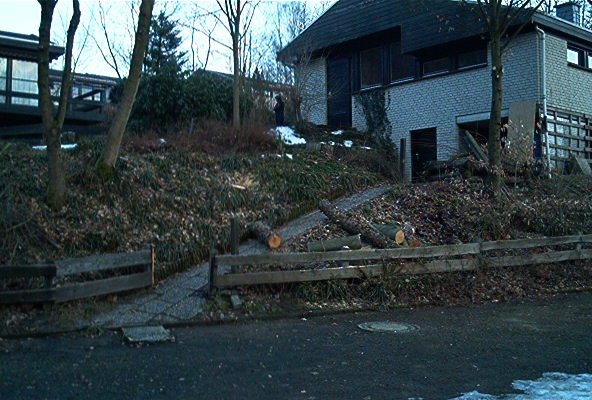 Außenbereich des Hauses vor dem Umbau mit gefällten Bäumen im Winter